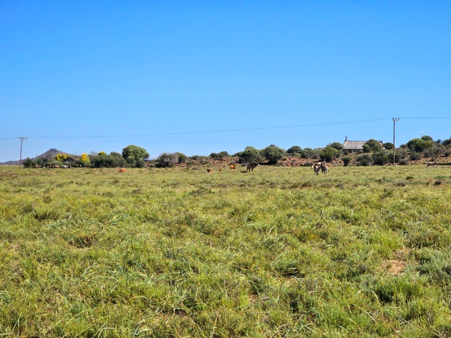 4 Bedroom Property for Sale in Bloemfontein Rural Free State
